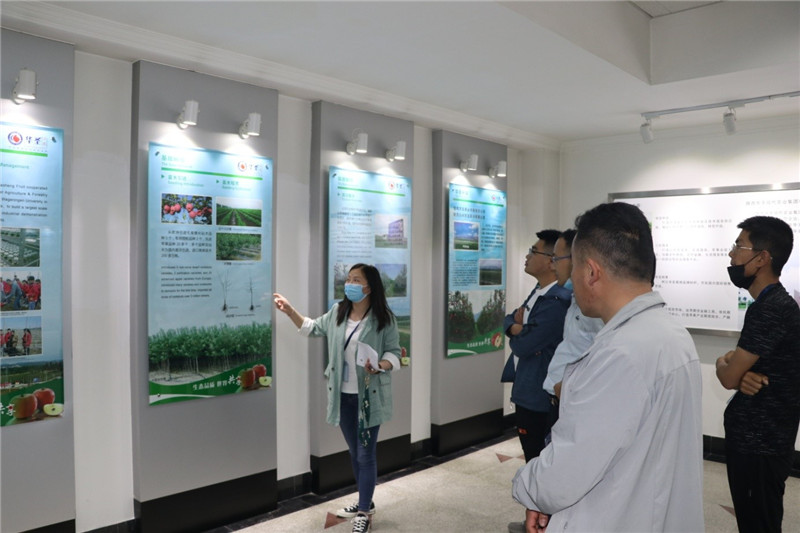 1590138406511059.jpeg 1.jpg