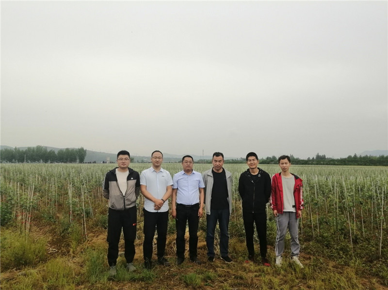 1590138493510019.jpeg 3.jpg