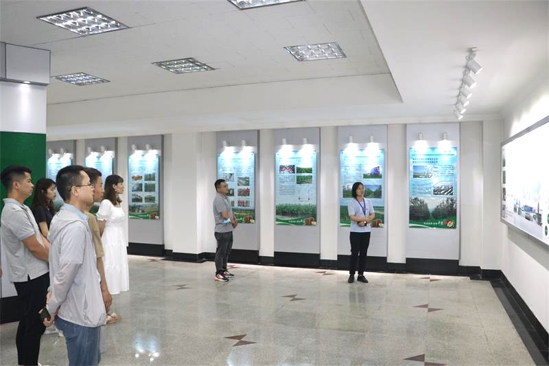 1593316168534133.jpeg 3.jpg