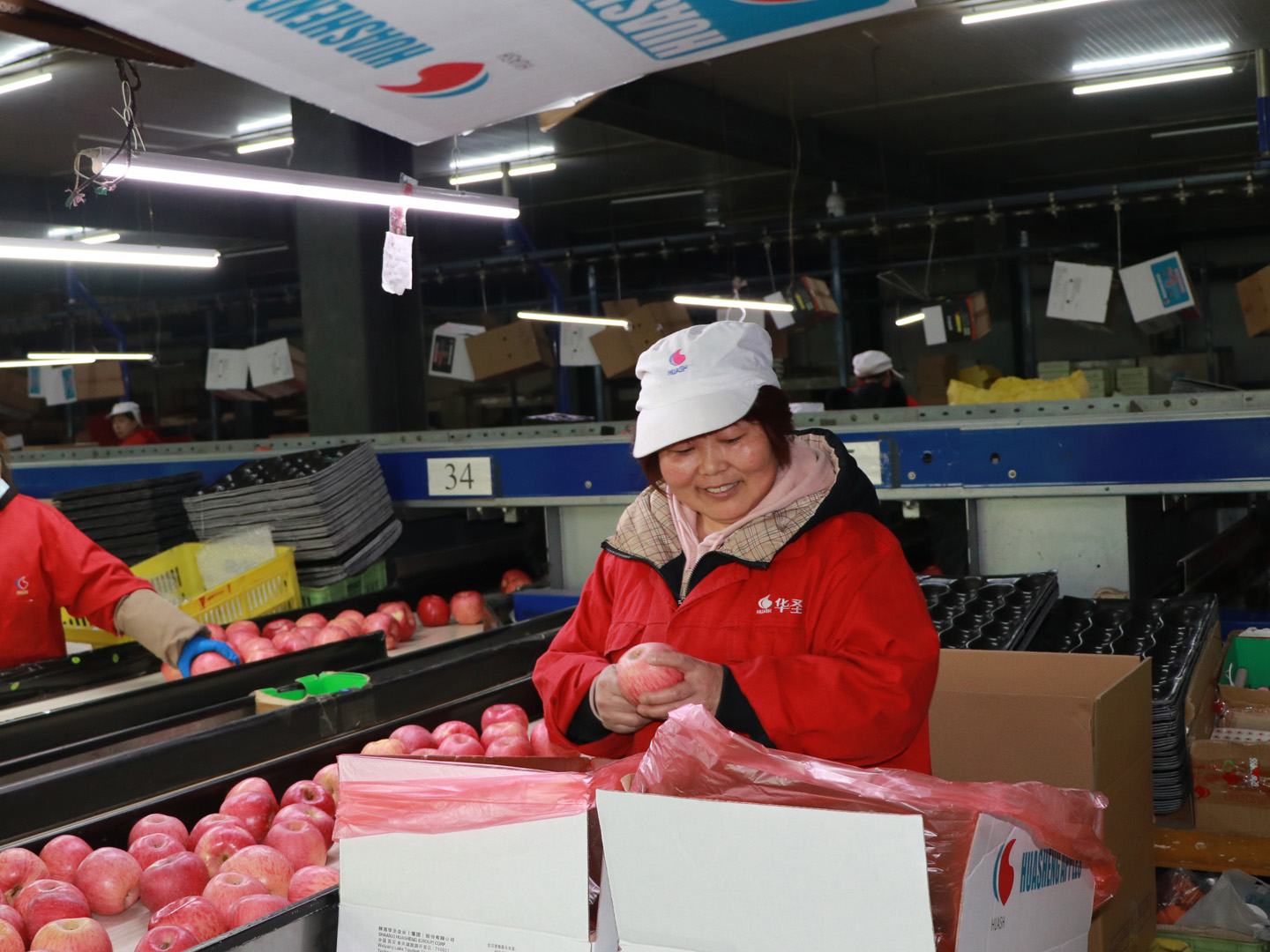 1612705613835928.jpeg 杨金尾.jpg