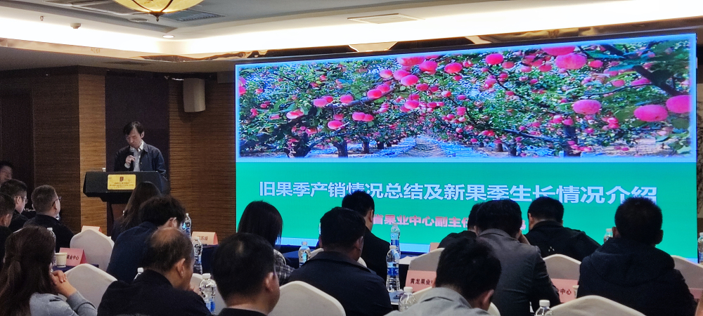 1714610630625495.jpeg 3.jpg