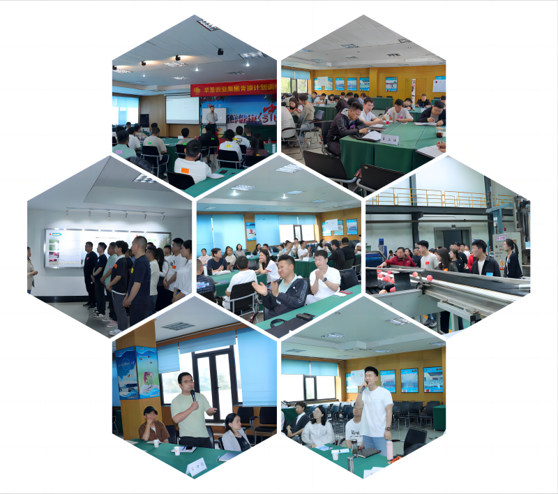 1715563529187294.png 2.png