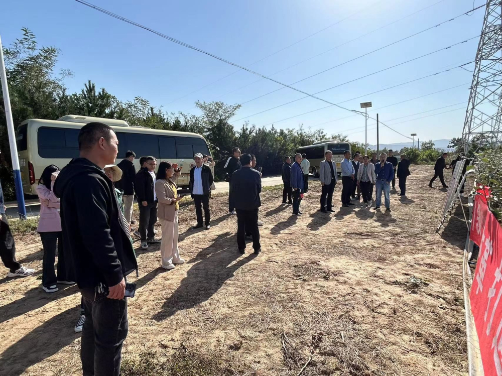 1728640081403479.jpeg 3.jpg