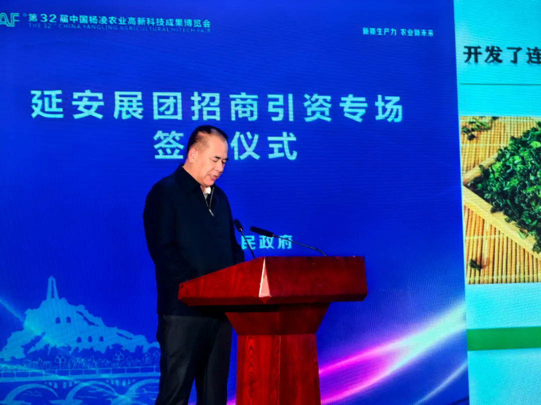 1761405309568707.png 3.png