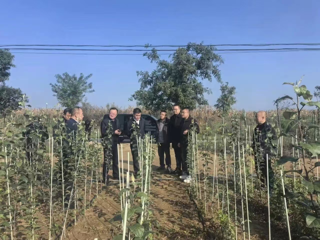 1761746892439719.jpeg 1.jpg